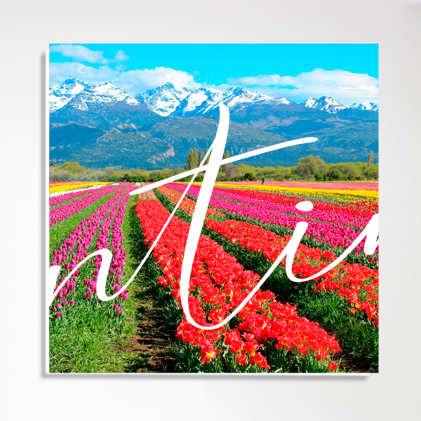 Pack Argentina - Imagen 4