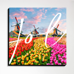 Pack Holanda - Imagen 3