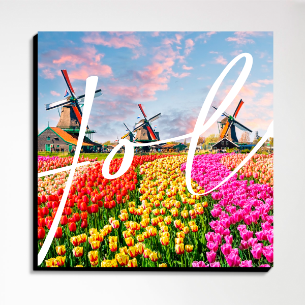 Pack Holanda - Imagen 3