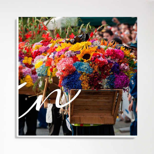 Pack Medellin - Imagen 5
