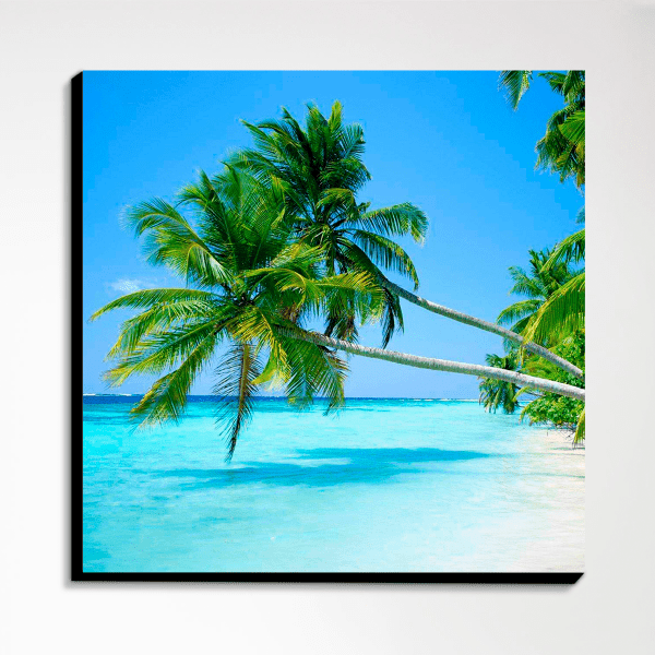 Pack Venezuela - Imagen 4