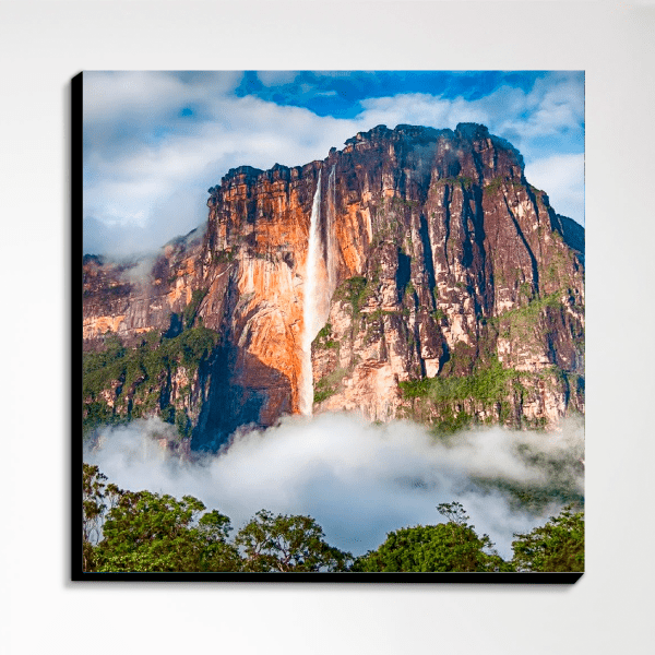 Pack Venezuela - Imagen 5