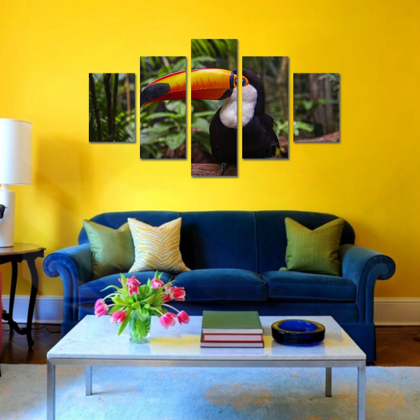Collage Tucan