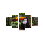 Collage Tucan - Imagen 2